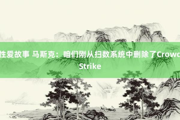 性爱故事 马斯克：咱们刚从扫数系统中删除了CrowdStrike