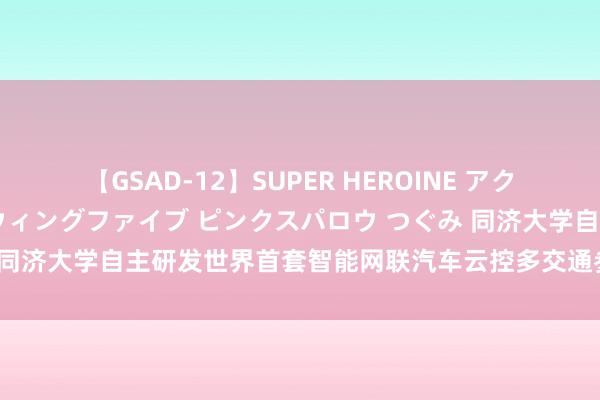 【GSAD-12】SUPER HEROINE アクションウォーズ 超翼戦隊ウィングファイブ ピンクスパロウ つぐみ 同济大学自主研发世界首套智能网联汽车云控多交通参与者测评系统