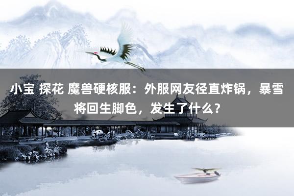 小宝 探花 魔兽硬核服：外服网友径直炸锅，暴雪将回生脚色，发生了什么？