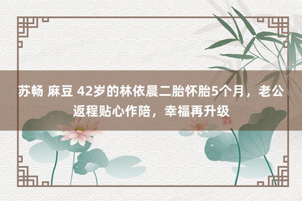 苏畅 麻豆 42岁的林依晨二胎怀胎5个月，老公返程贴心作陪，幸福再升级