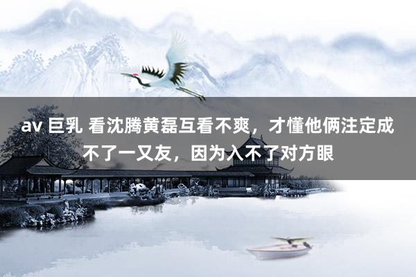 av 巨乳 看沈腾黄磊互看不爽，才懂他俩注定成不了一又友，因为入不了对方眼