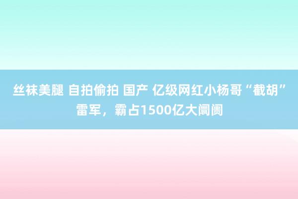 丝袜美腿 自拍偷拍 国产 亿级网红小杨哥“截胡”雷军，霸占1500亿大阛阓