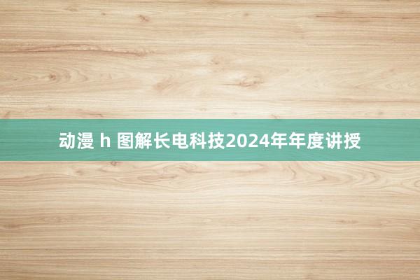动漫 h 图解长电科技2024年年度讲授