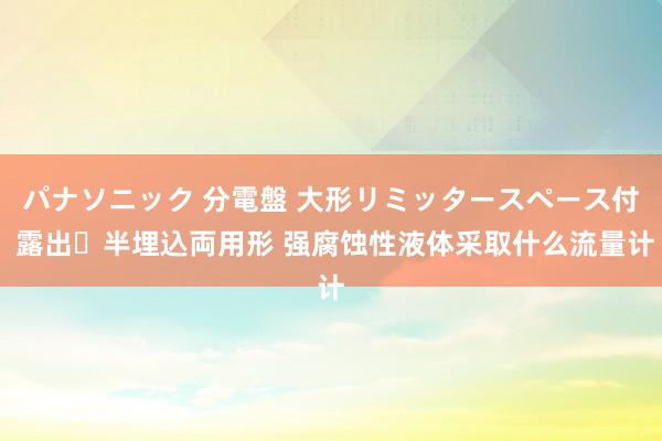 パナソニック 分電盤 大形リミッタースペース付 露出・半埋込両用形 强腐蚀性液体采取什么流量计