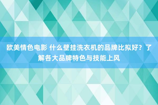 欧美情色电影 什么壁挂洗衣机的品牌比拟好？了解各大品牌特色与技能上风