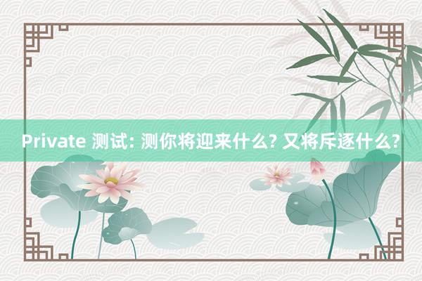 Private 测试: 测你将迎来什么? 又将斥逐什么?