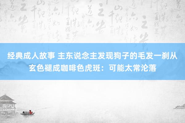 经典成人故事 主东说念主发现狗子的毛发一刹从玄色褪成咖啡色虎斑：可能太常沦落