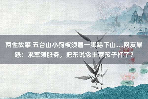 两性故事 五台山小狗被须眉一脚踢下山…网友暴怒：求率领服务，把东说念主家孩子打了？